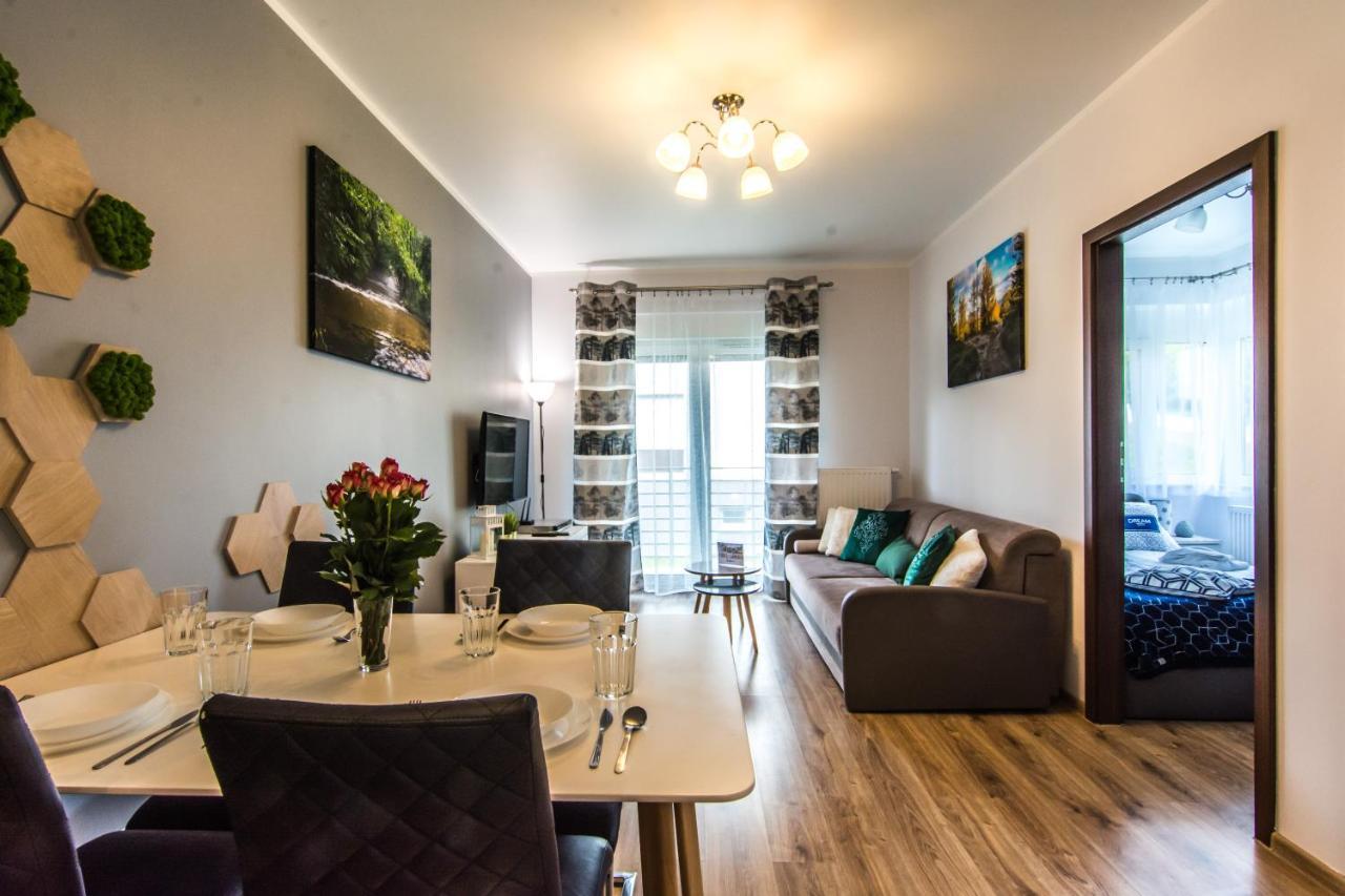 Apartamenty Izerskie - Ul. Cicha 13H-I Swieradow-Zdroj Exterior photo